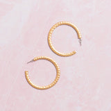Kelly Hoops