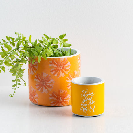 Daisy Bloom Nesting Pots