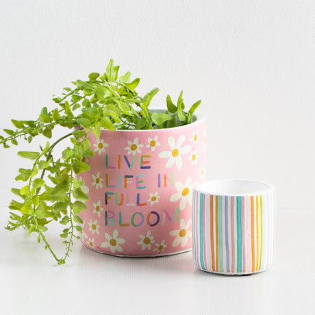 Live Life Nesting Pots