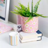 Live Life Nesting Pots