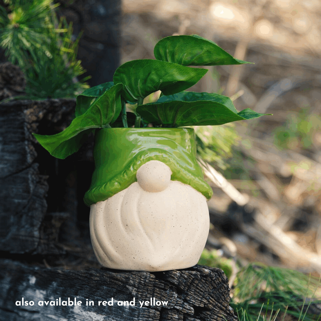 Let it Grow Gnome Planter