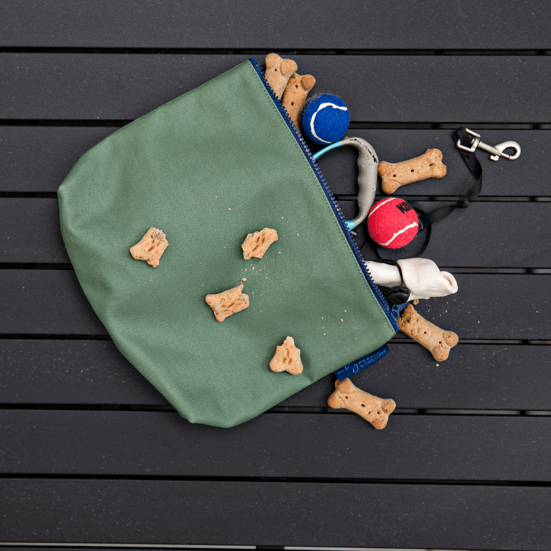 Beyond Basics Pouch